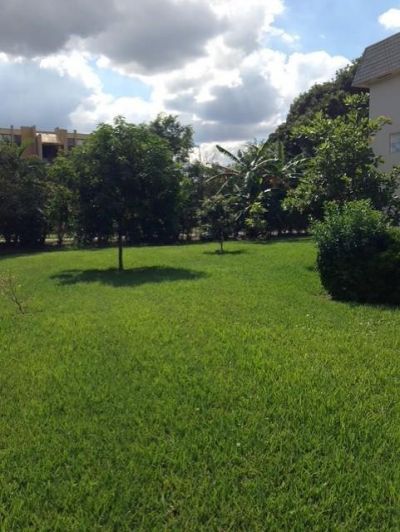 4100 N 58th Avenue, Unit 303, Hollywood, FL 33021 Photo