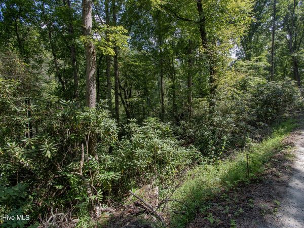 8 Snowbird Woods Road , Robbinsville, NC 28771