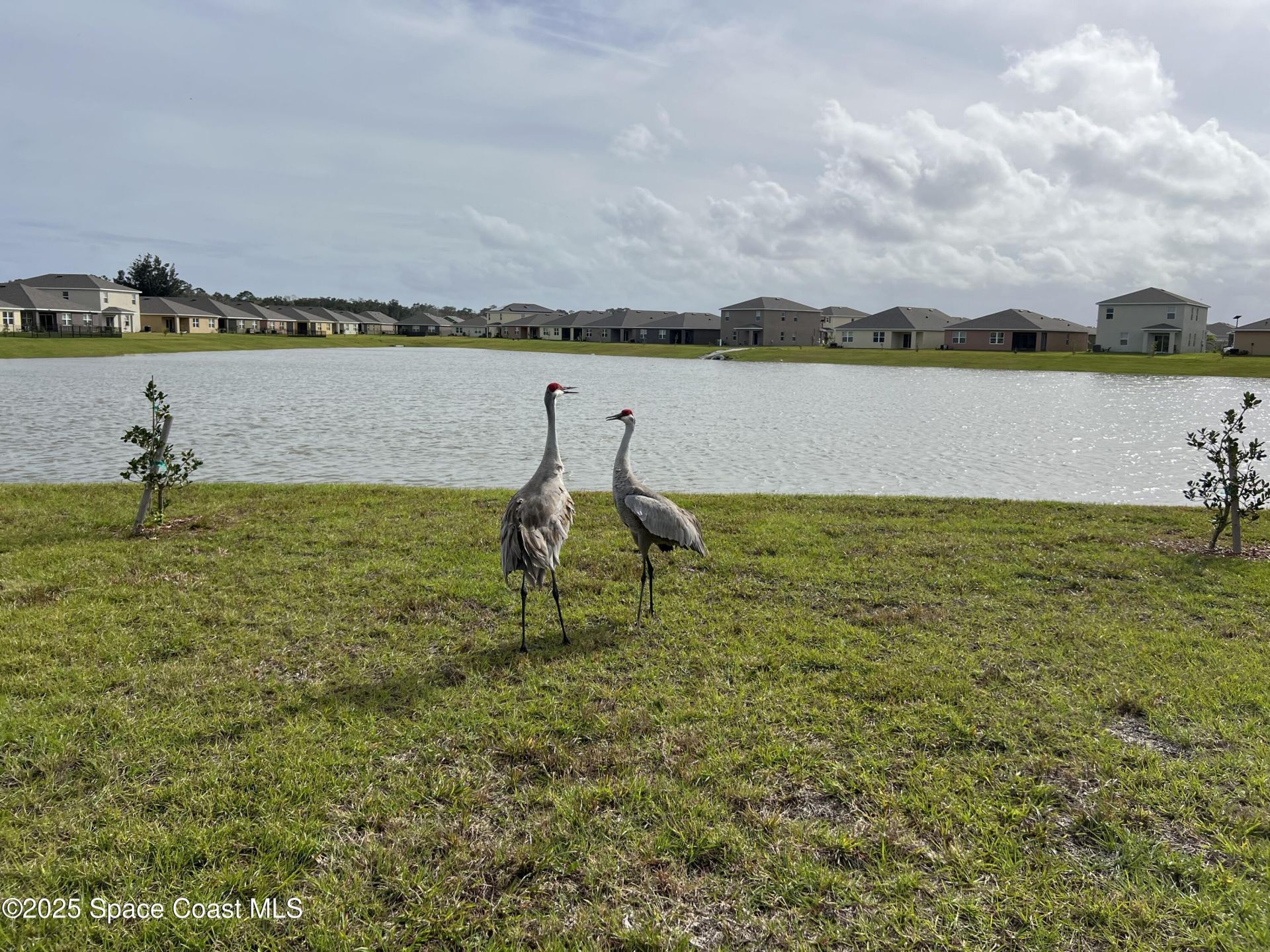 976 Trinity Street , Rockledge, FL 32955 Photo