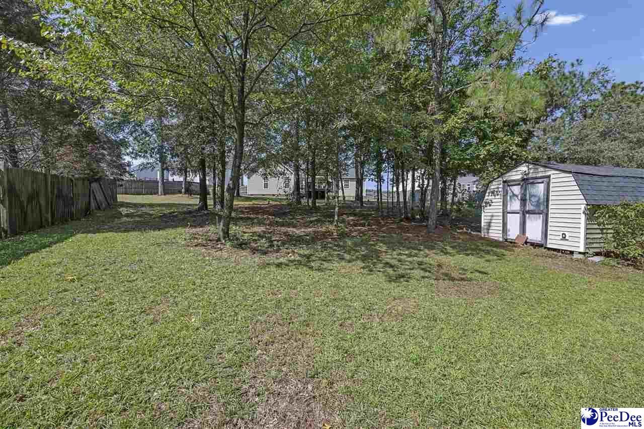 132 Mason Ridge Circle Photo 42