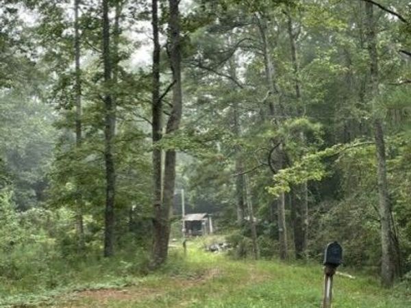 0 Young, Franklin, GA 30217