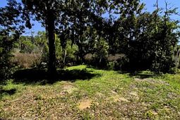 Tbd Watson Way photo 4