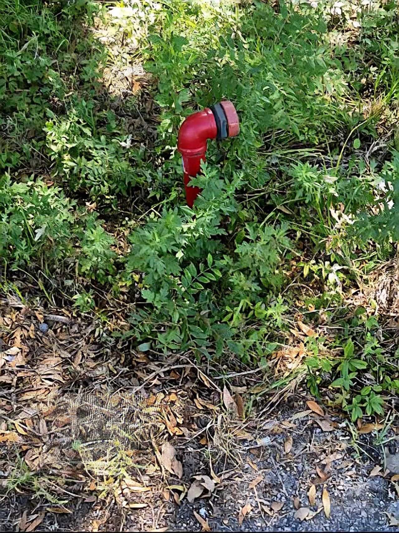 Tbd Watson Way Photo 6