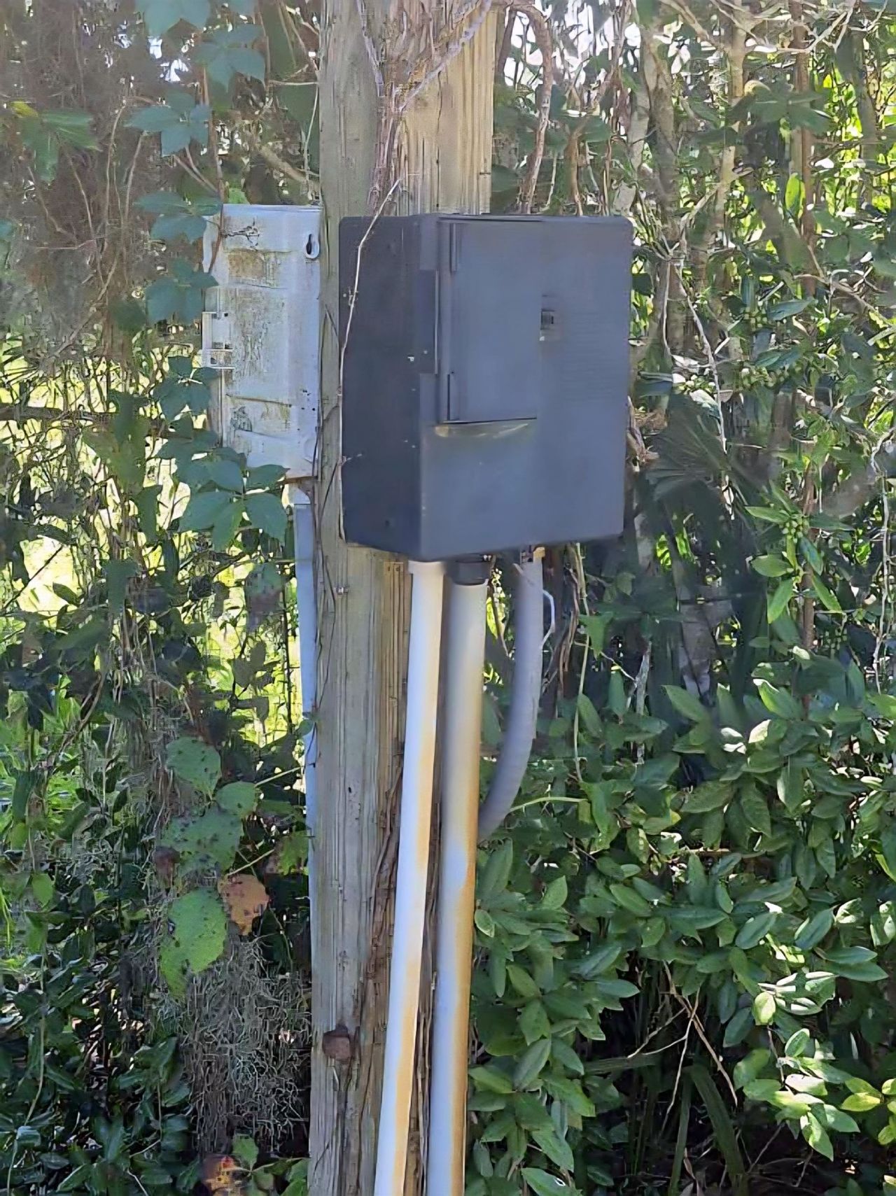 Tbd Watson Way Photo 8