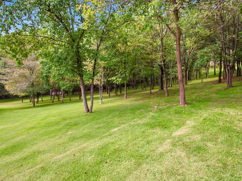 6720 Layman Drive, Nashport, OH 43830 Photo 12