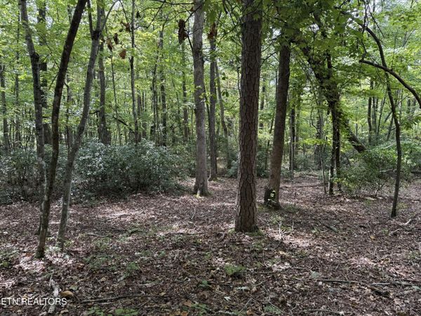 6 Tanner Drive , Unit 6, Monterey, TN 38574