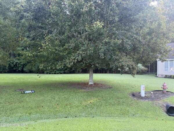 Tbd Gold Rock Drive , Chocowinity, NC 27817