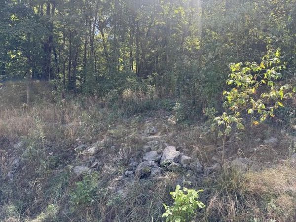 56 Stateline Drive , Holiday Island, AR 72631