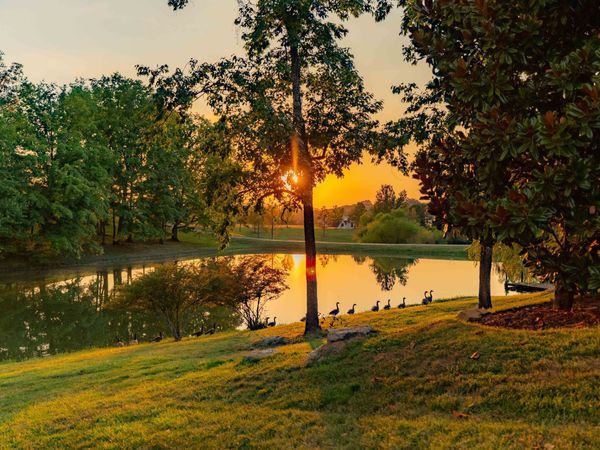 8201 Jolene Dr , College Grove, TN 37046