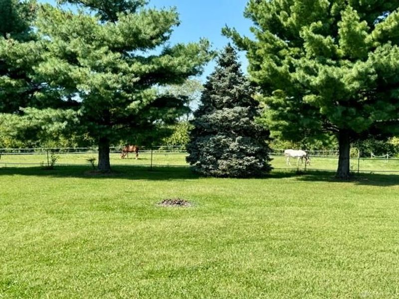8100 N Lstck Shelby Road, Fletcher, OH 45326 Photo 8