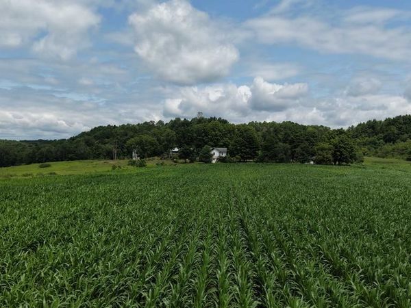 11108 PA-58 , SLIGO, PA 16255
