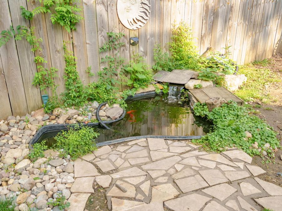 Property Image 42