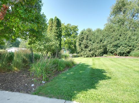 Main Photo