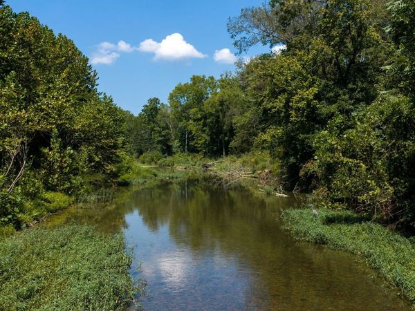 0 South Bear Creek, Erin, TN 37061