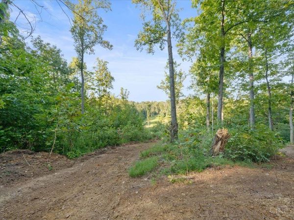 acres Waggoner Riffle Road, West Union, OH 45693