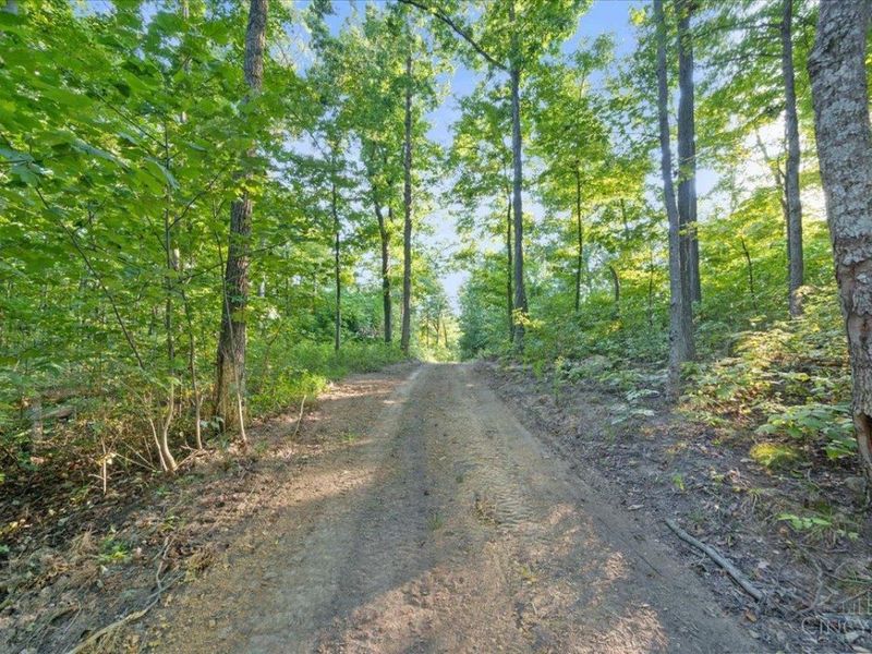 acres Waggoner Riffle Road, West Union, OH 45693 Photo 11