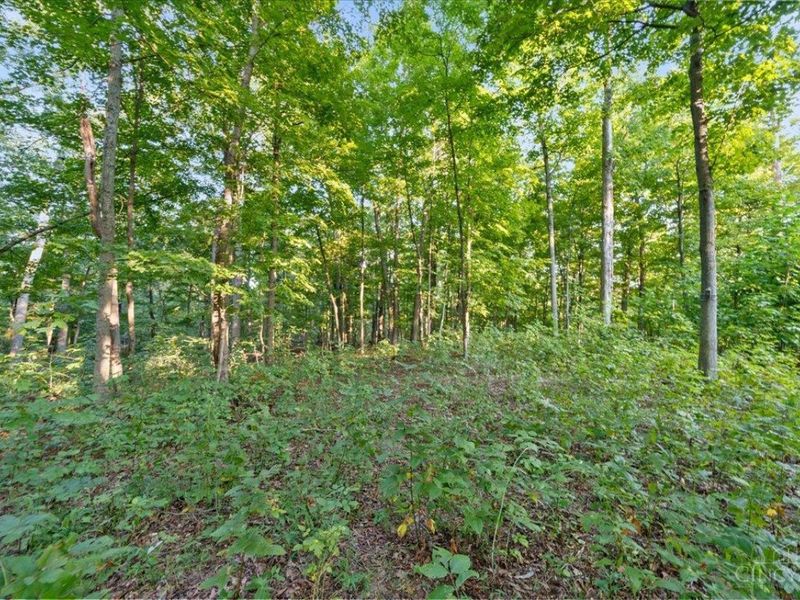 acres Waggoner Riffle Road, West Union, OH 45693 Photo 12