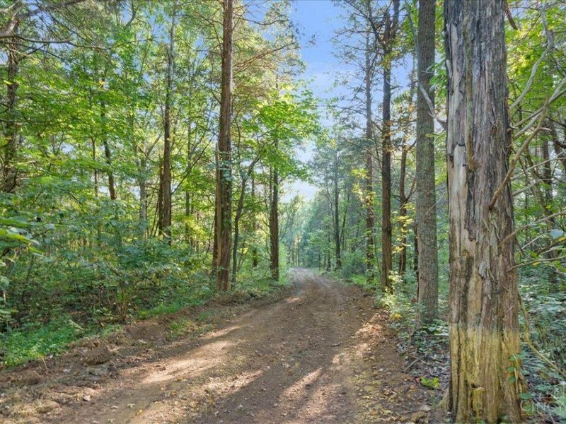 acres Waggoner Riffle Road, West Union, OH 45693 Photo 14