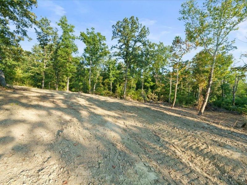 acres Waggoner Riffle Road, West Union, OH 45693 Photo 17