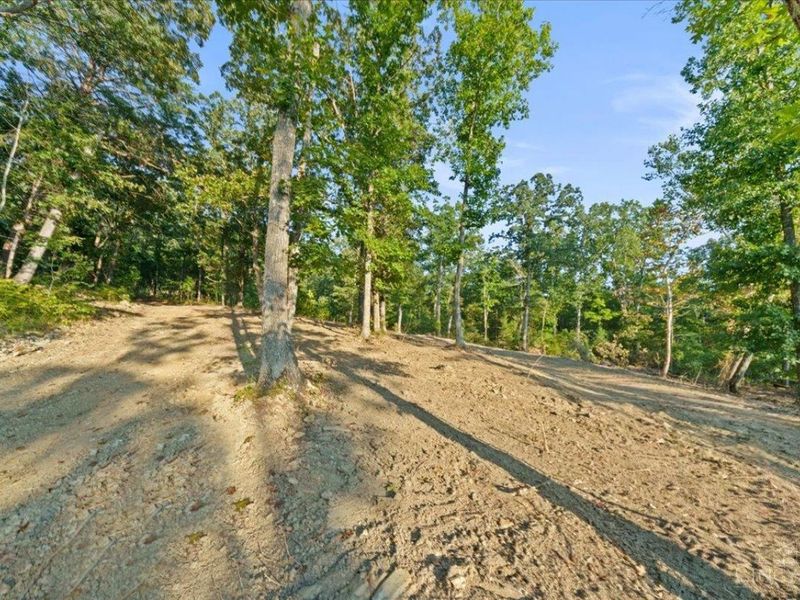 acres Waggoner Riffle Road, West Union, OH 45693 Photo 18