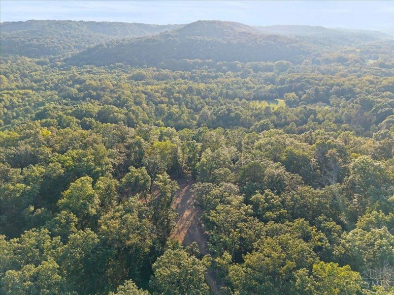 acres Waggoner Riffle Road, West Union, OH 45693 Photo 25