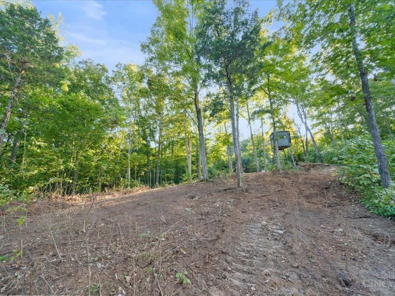 acres Waggoner Riffle Road, West Union, OH 45693 Photo 3