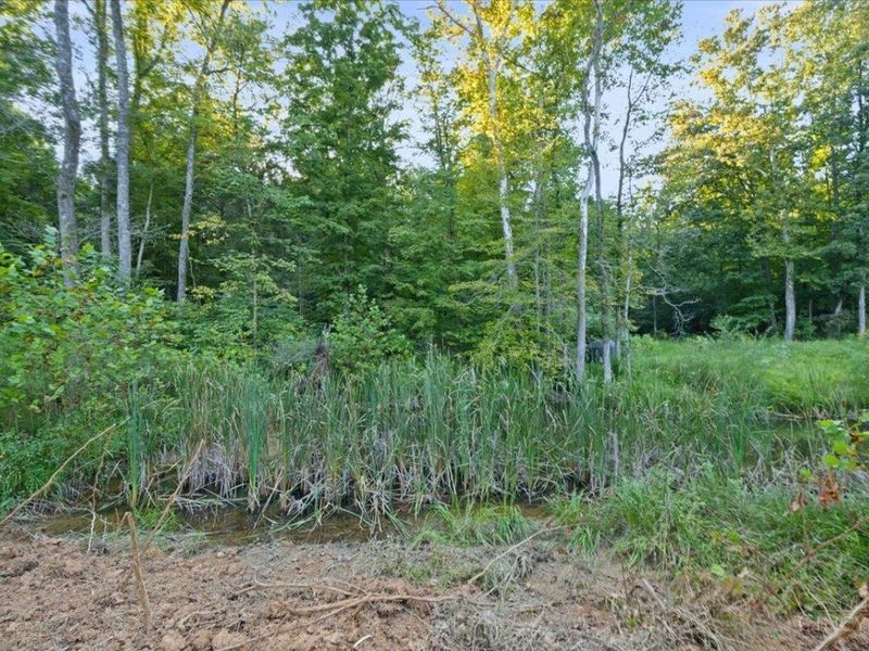 acres Waggoner Riffle Road, West Union, OH 45693 Photo 5