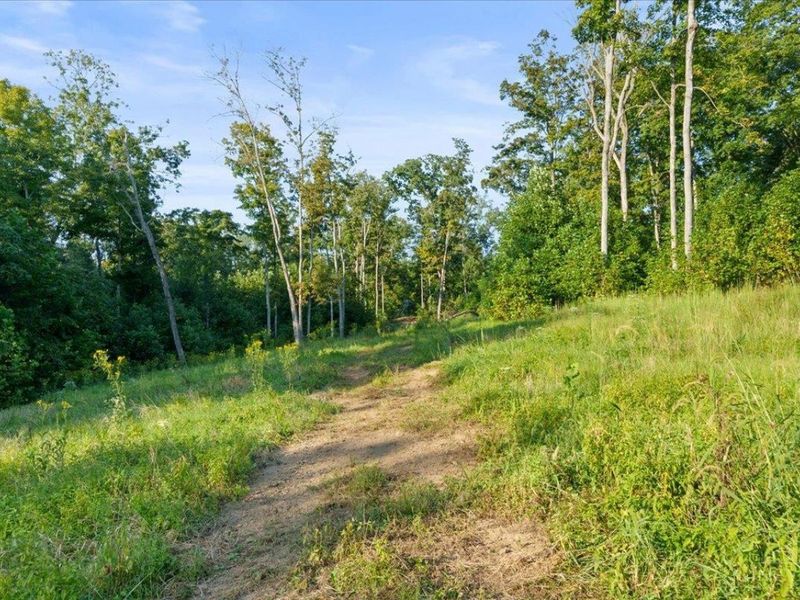acres Waggoner Riffle Road, West Union, OH 45693 Photo 6