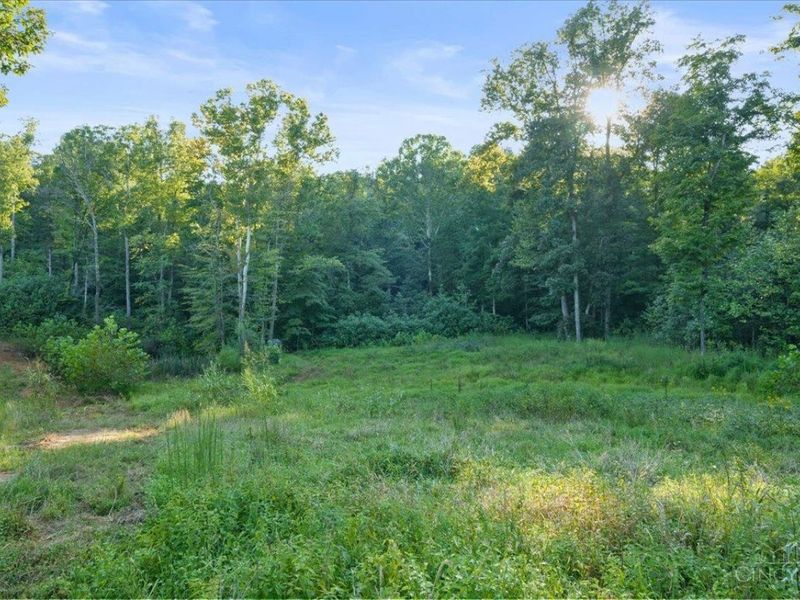 acres Waggoner Riffle Road, West Union, OH 45693 Photo 7