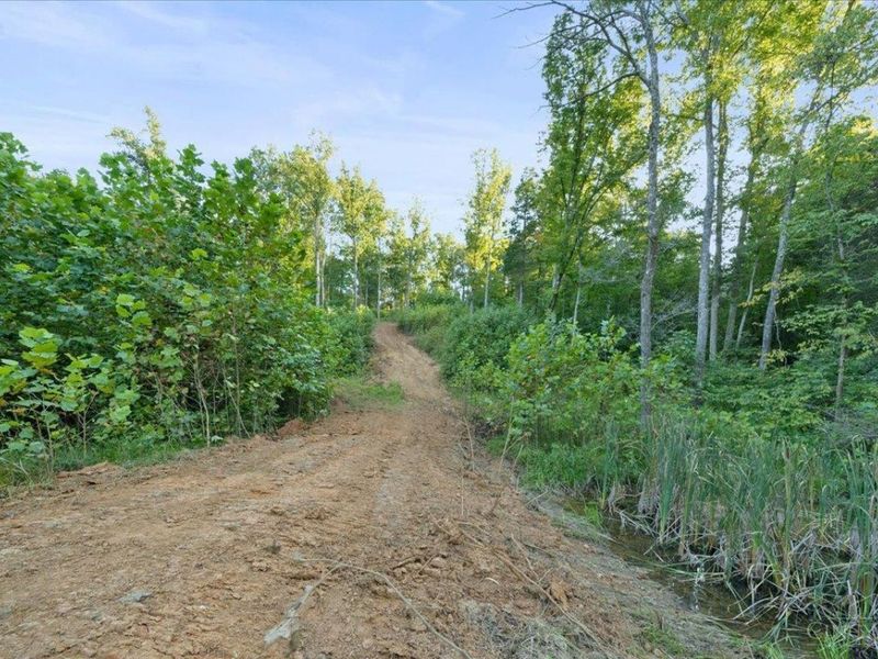 acres Waggoner Riffle Road, West Union, OH 45693 Photo 9