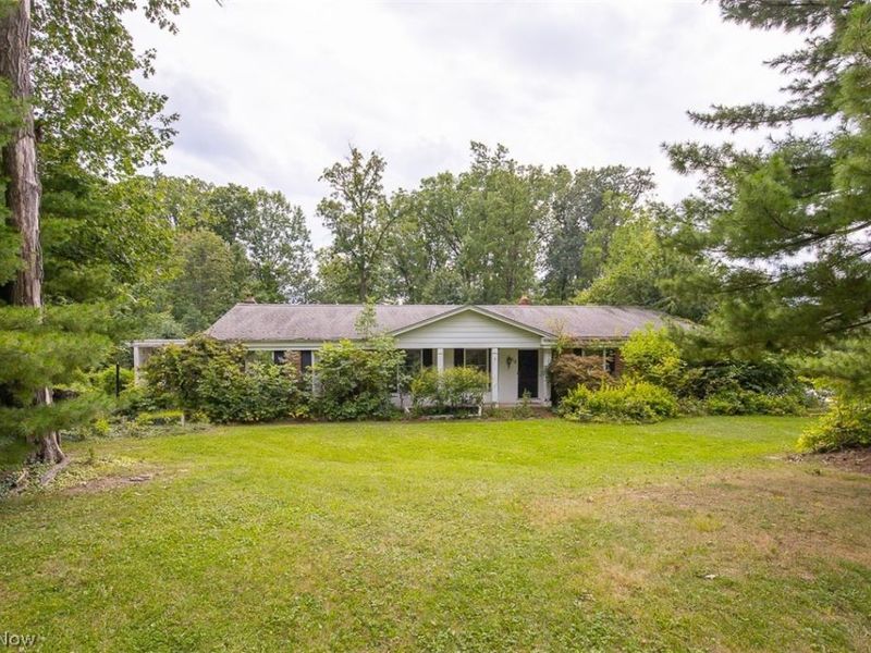 218 Wintergreen Hill Drive, Painesville Township, OH 44077 Photo 4