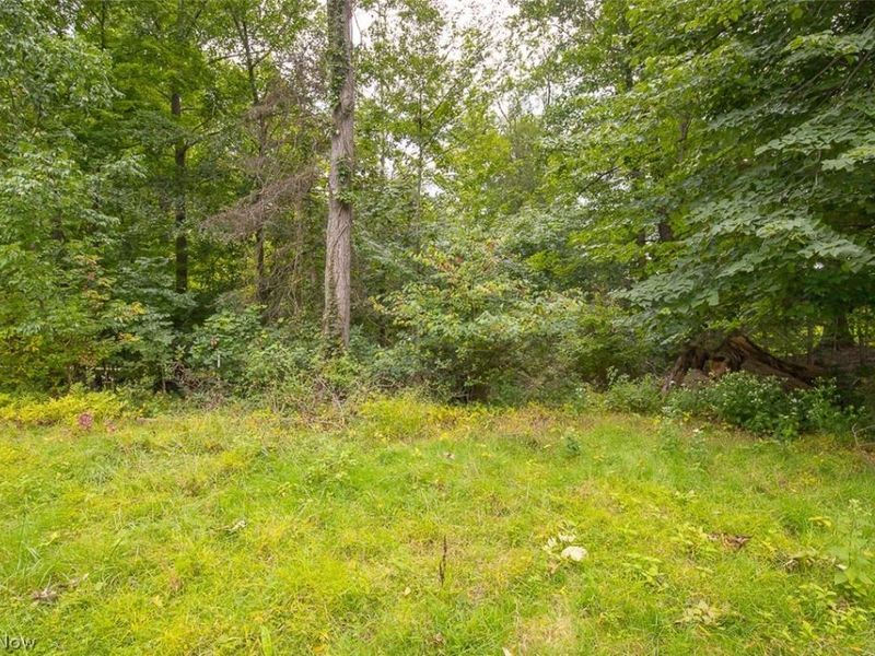 218 Wintergreen Hill Drive, Painesville Township, OH 44077 Photo 49