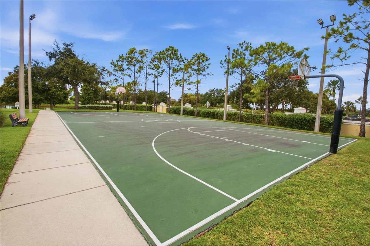 5321 Sandy Shell Drive, Apollo Beach, FL 33572 Photo