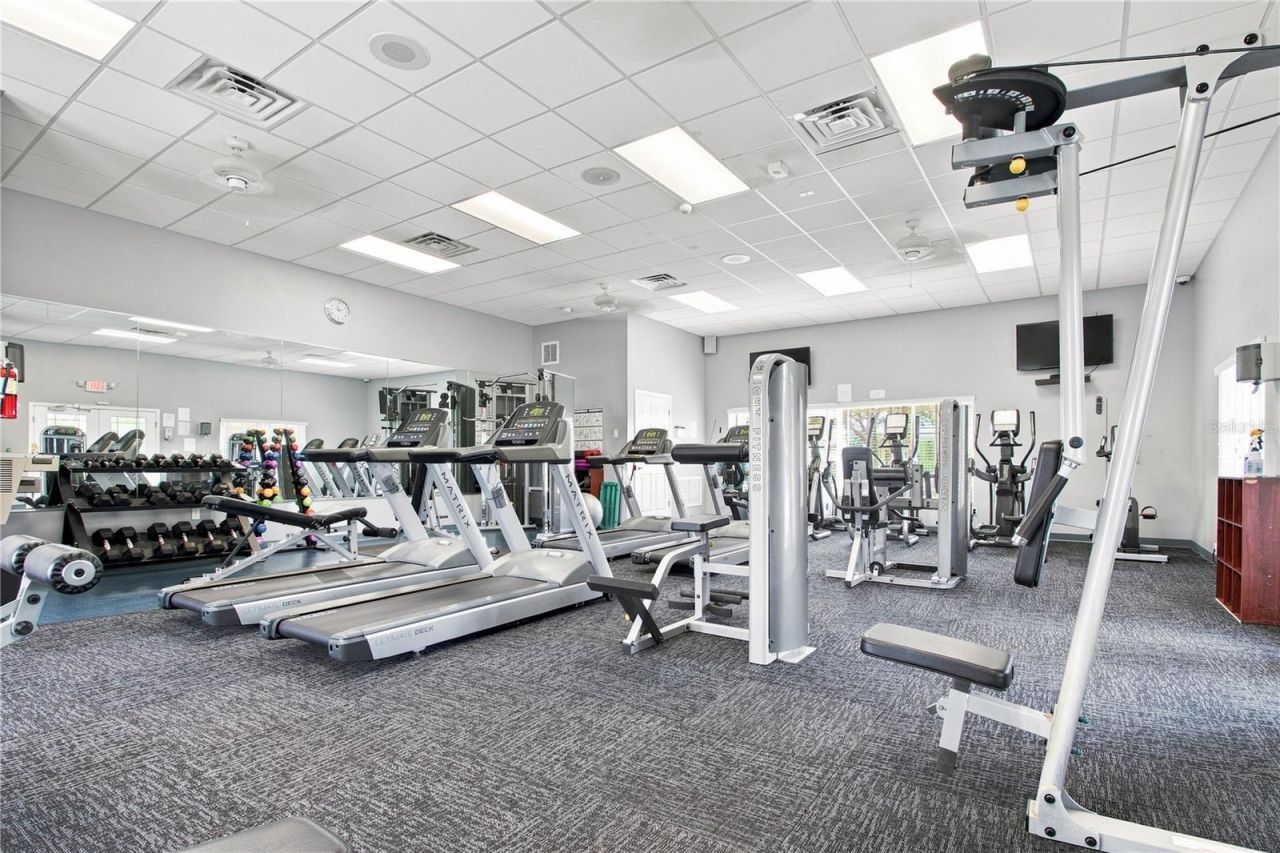 5321 Sandy Shell Drive, Apollo Beach, FL 33572 Photo