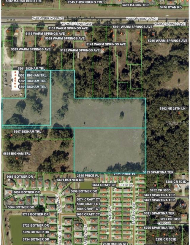 Bigham Trail, Wildwood, FL 34785 Photo
