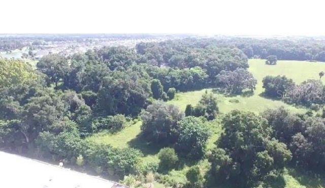 Bigham Trail, Wildwood, FL 34785 Photo
