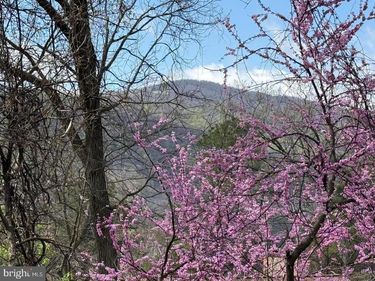 Lot 13 JONATHAN ROAD , LINDEN, VA 22642