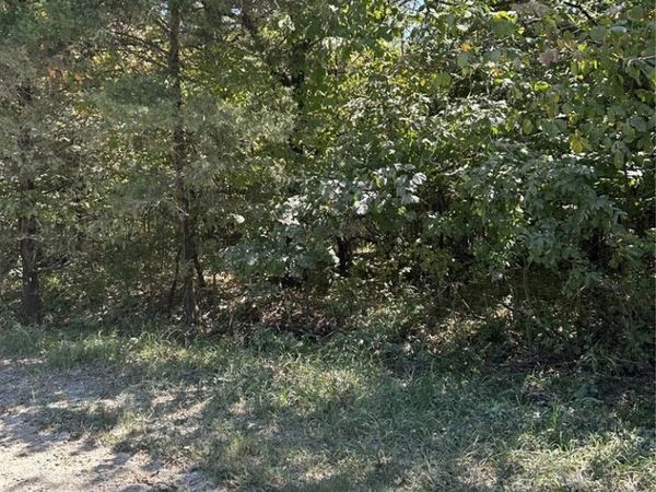 0 Rue Charles , Bonne Terre, MO 63628