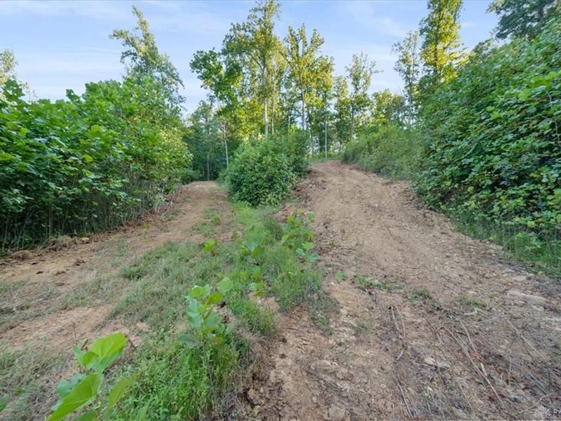 113 ac Waggoner Riffle Road, West Union, OH 45693 Photo 10