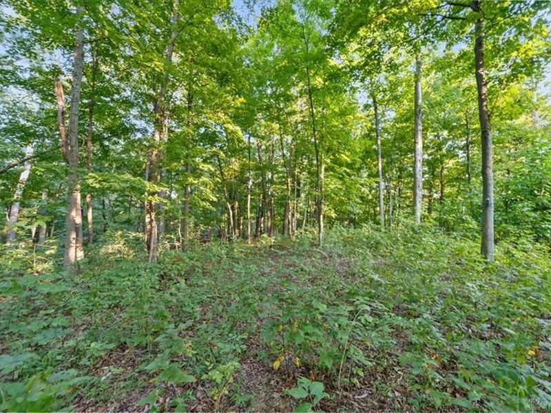 113 ac Waggoner Riffle Road, West Union, OH 45693 Photo 12