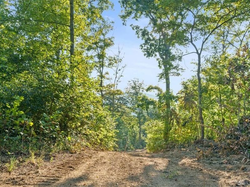 113 ac Waggoner Riffle Road, West Union, OH 45693 Photo 13