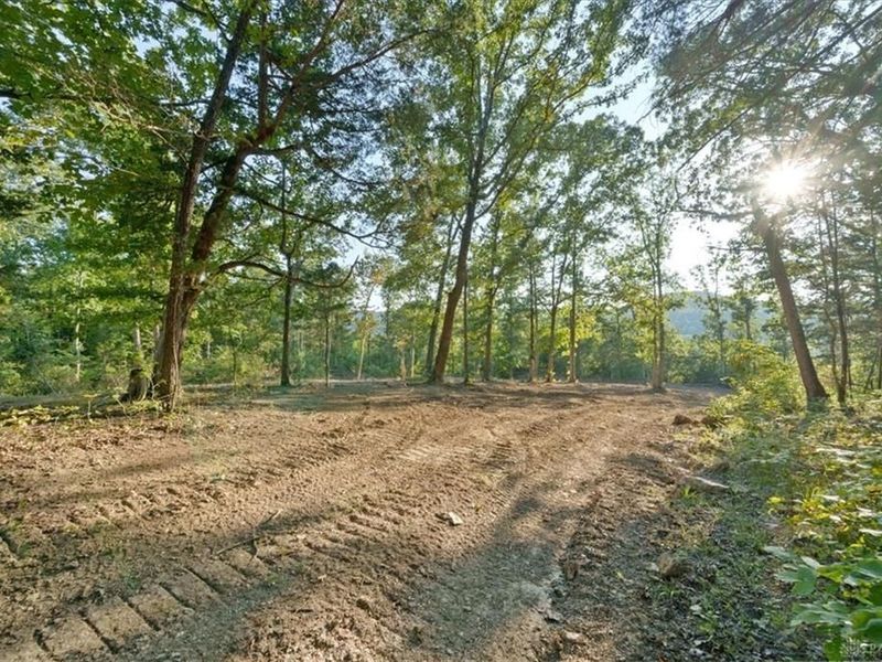 113 ac Waggoner Riffle Road, West Union, OH 45693 Photo 15