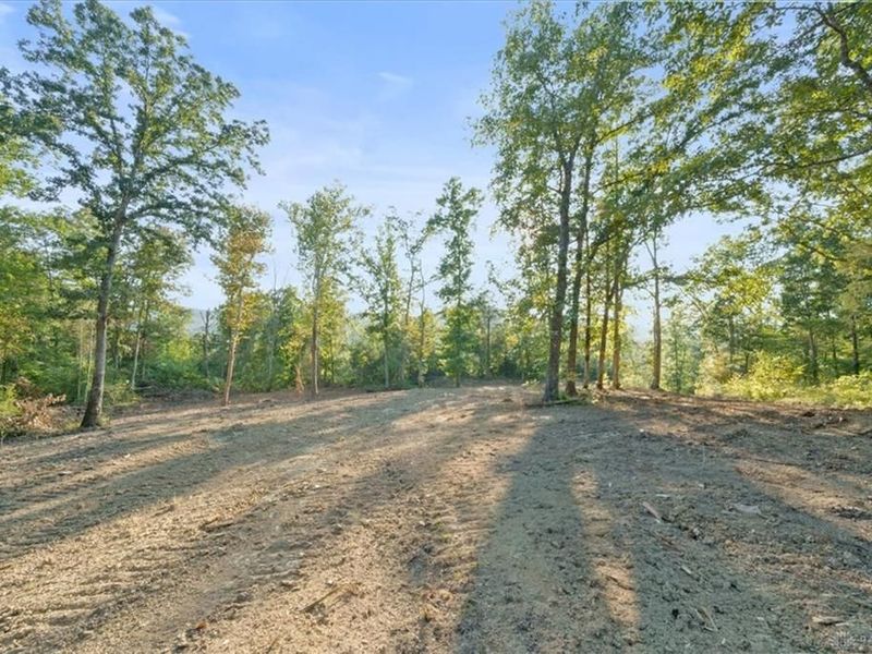 113 ac Waggoner Riffle Road, West Union, OH 45693 Photo 16