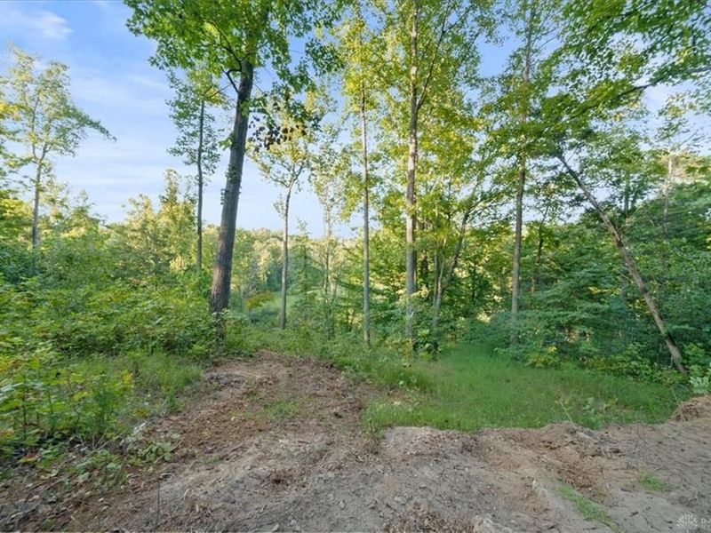113 ac Waggoner Riffle Road, West Union, OH 45693 Photo 2