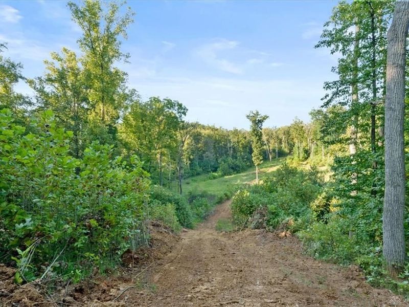 113 ac Waggoner Riffle Road, West Union, OH 45693 Photo 4
