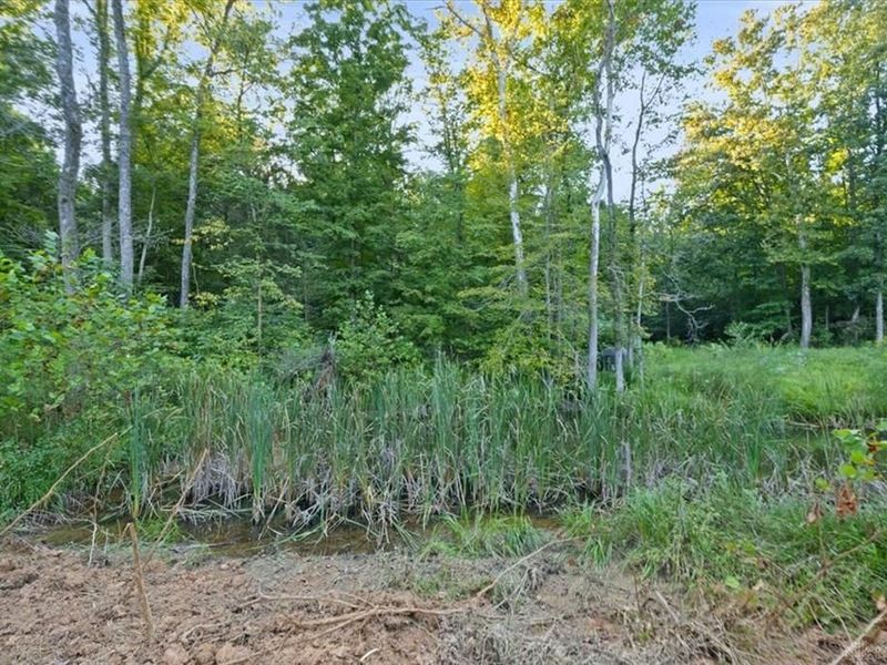 113 ac Waggoner Riffle Road, West Union, OH 45693 Photo 5