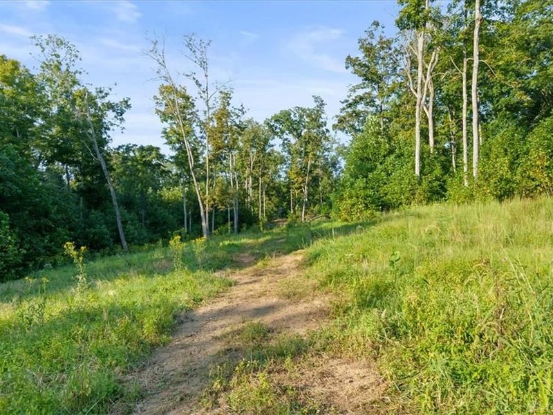 113 ac Waggoner Riffle Road, West Union, OH 45693 Photo 6