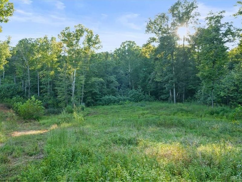 113 ac Waggoner Riffle Road, West Union, OH 45693 Photo 7
