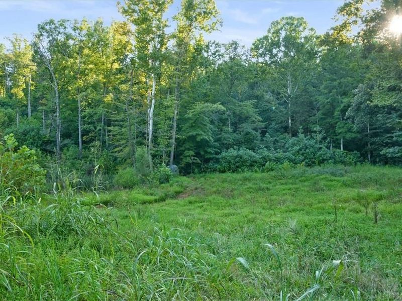 113 ac Waggoner Riffle Road, West Union, OH 45693 Photo 8
