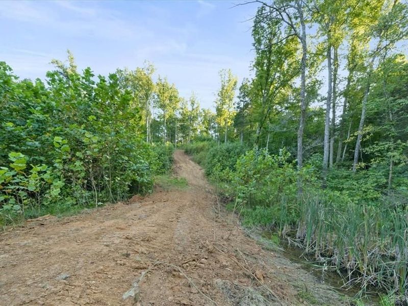 113 ac Waggoner Riffle Road, West Union, OH 45693 Photo 9
